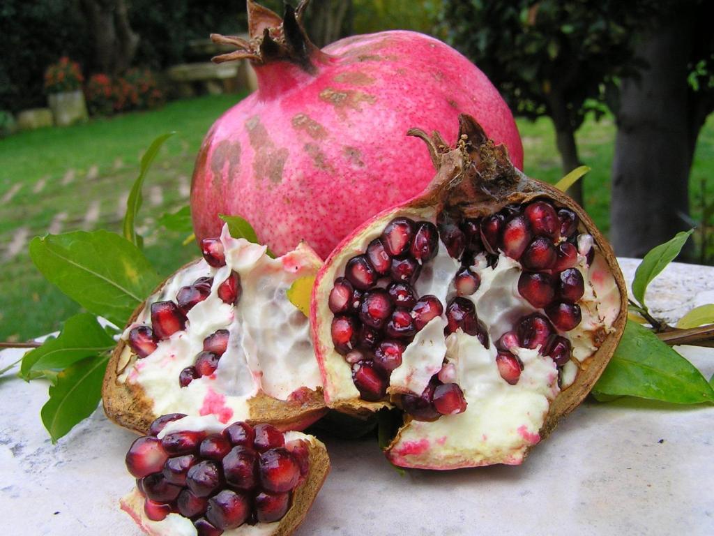Apartma Paloma Blanca Medulin