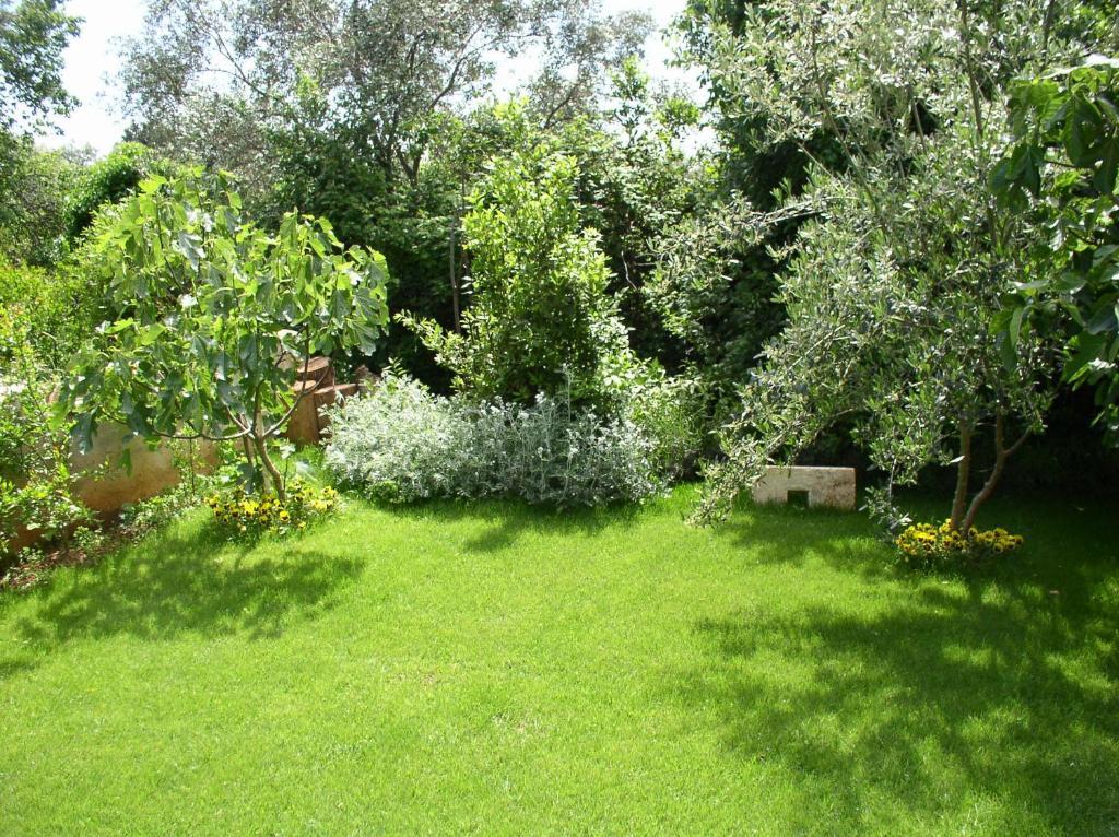 Paloma Blanca Apartma *