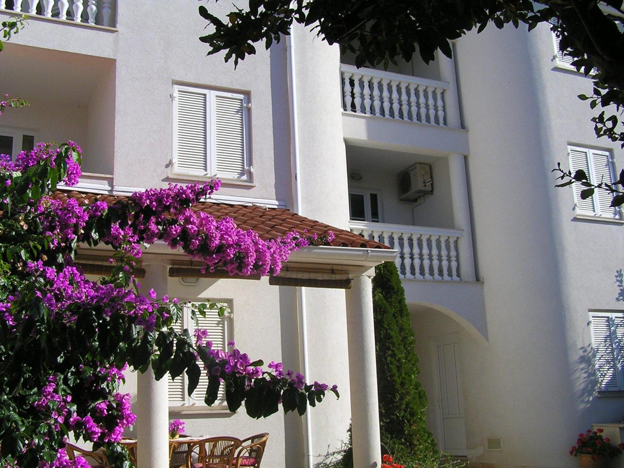 Apartment Paloma Blanca Medulin