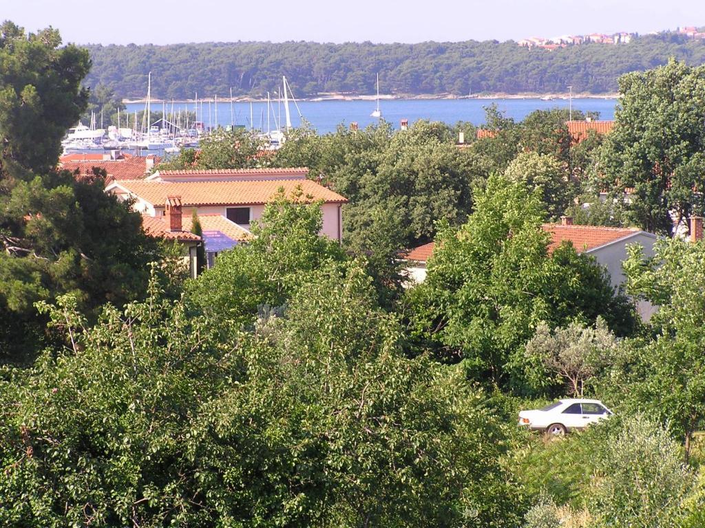 Apartmán Paloma Blanca