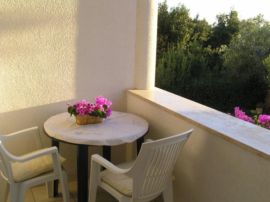 Apartmán Paloma Blanca